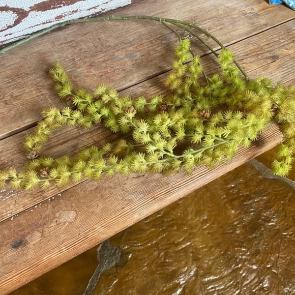 Anthropologie Terrain Trailing Succulent Spray - Picture 4 of 7